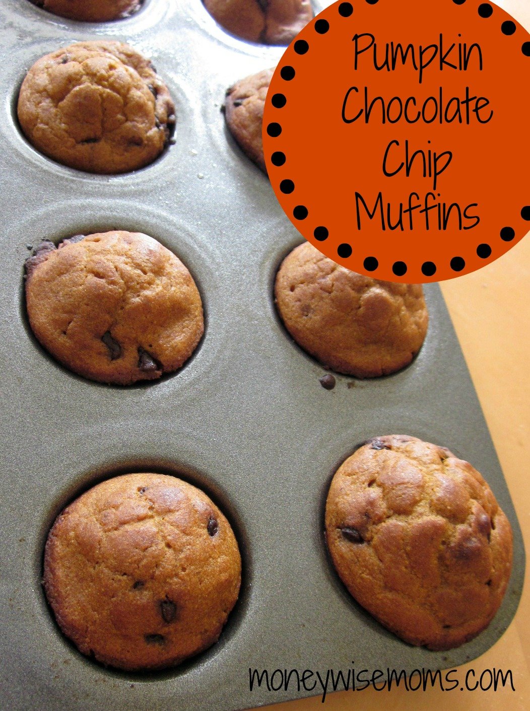 Pumpkin Chocolate Chip Muffins - filled with whole wheat & extra fiber - the perfect lunchbox or afterschool treat