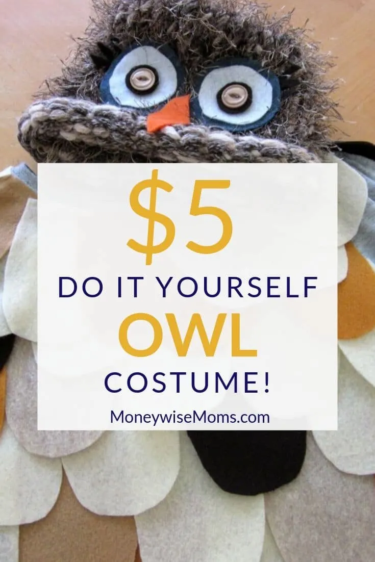 With a couple of hours and a couple of dollars, I made a cute $5 DIY Owl Costume for one of my 6-year-old daughters. Even better, this is no-sew!