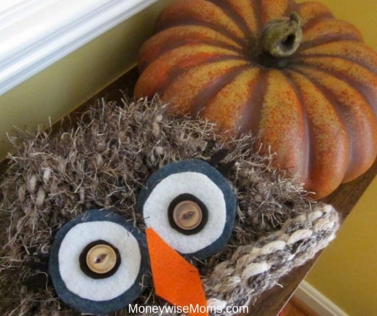 With a couple of hours and a couple of dollars, I made a cute $5 DIY Owl Costume for one of my 6-year-old daughters. Even better, this is no-sew!