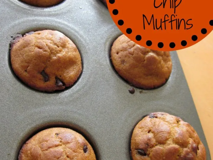 Pumpkin Chocolate Chip Muffin Recipe | Easy #realfood #recipe for lunchboxes and afterschool snacks | MoneywiseMoms