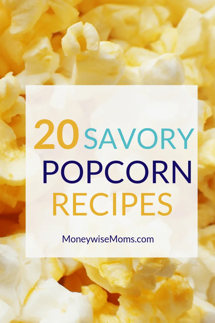 https://moneywisemoms.com/wp-content/uploads/2015/02/Savory-Popcorn-Recipes-to-Make.png.webp