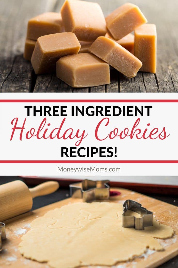 You've got the holiday spirit, but what you don't have is time. Check out these 3-Ingredient Holiday Cookies & Candy perfect for bringing to a holiday party or potluck, wrapping up to give as gifts, or just leaving out for Santa.