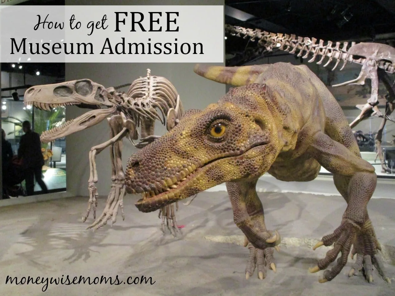 How to get free admission to museums 
