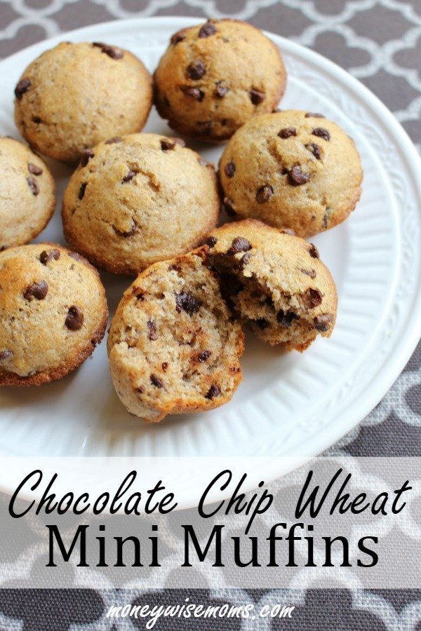 Mini Chocolate Chip Muffins Recipe