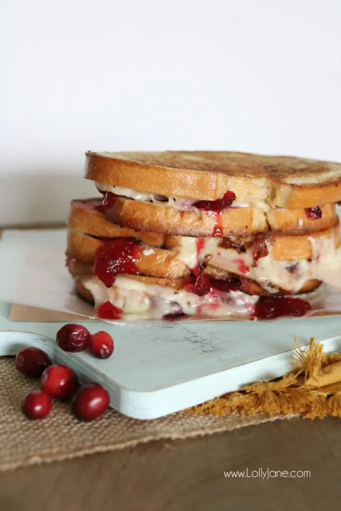 Cranberry Turkey Grilled Cheese from LollyJane