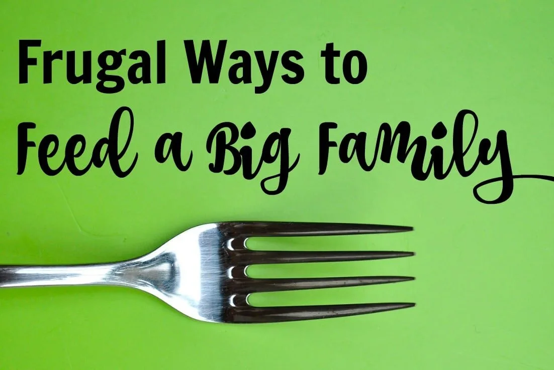 Frugal Ways to Feed a Big Family - meal planning tips to feed your crowd