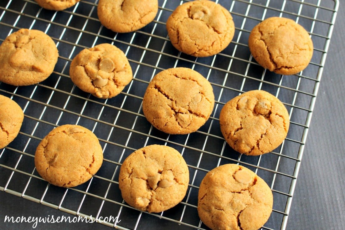 These Double Butterscotch Cookies are flavored with both pudding mix and chips for a creamy, chewy texture. Bake up a batch!