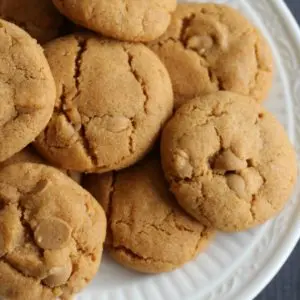 These Double Butterscotch Cookies are flavored with both pudding mix and chips for a creamy, chewy texture. Bake up a batch!