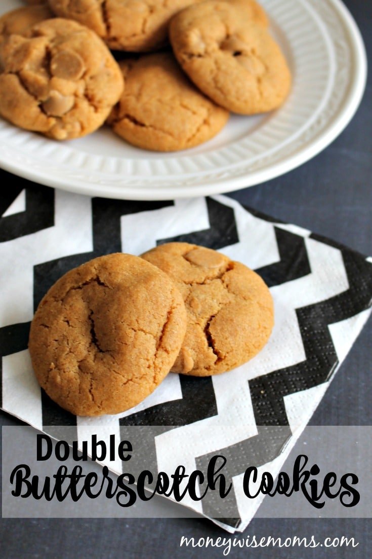 These Double Butterscotch Cookies are flavored with both pudding mix and chips for a creamy, chewy texture. Bake up a batch!