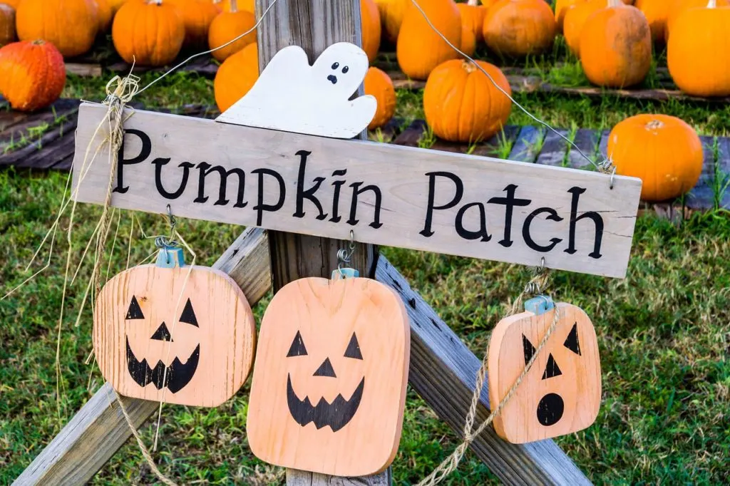 Pumpkin Patch - ways to save on fall family fun