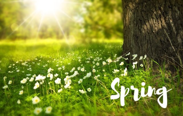 Spring posts from MoneywiseMoms | Holidays and Seasons