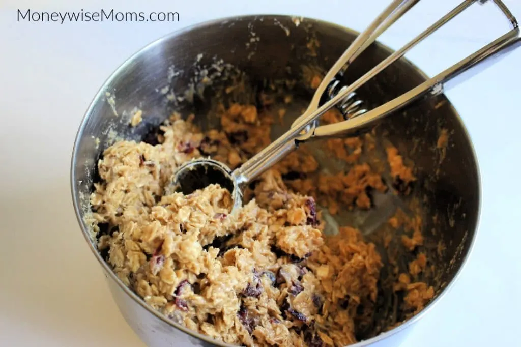 Cranberry Oatmeal Cookie dough in bowl