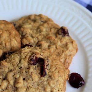 Cranberry Oatmeal Cookie Recipe