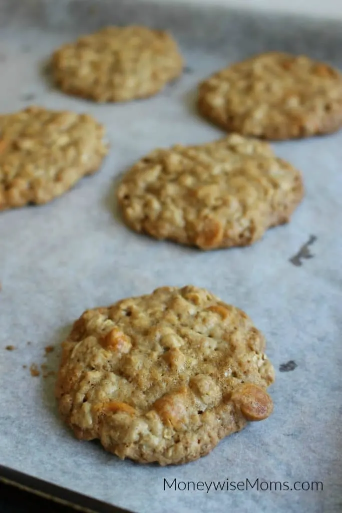 Oatmeal butterscotch cookies on parchment paper