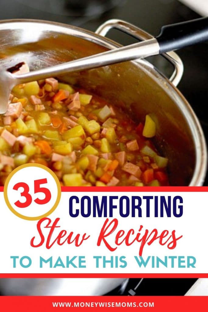stew in stainless steel cooking pot with ladle