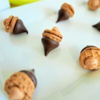 A delicious platter of acorn cookies ready to be eaten.