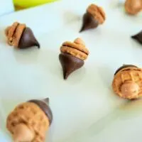 A delicious platter of acorn cookies ready to be eaten.