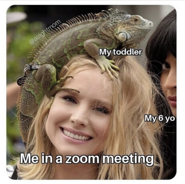 Kristen Bell with an iguana on her head