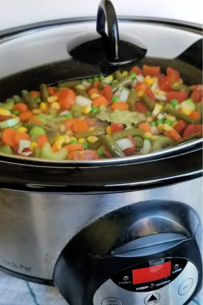Black and silver crockpot filled with vegetables