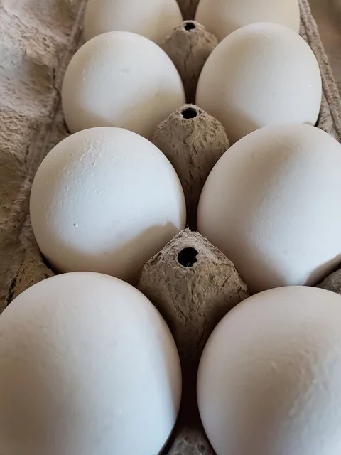 dozen white eggs in cardboard container