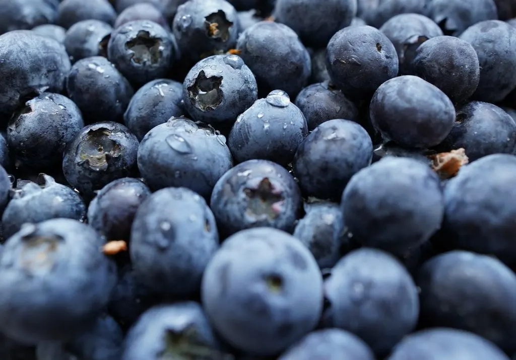 fresh blueberries - recipes that use blueberries