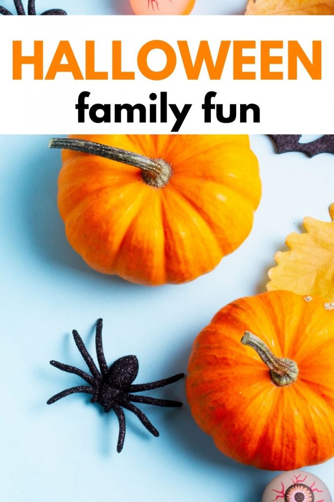 mini pumpkins and black spider on blue background