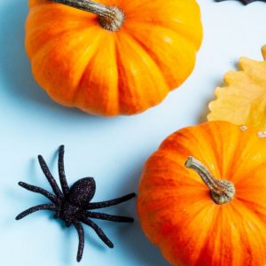 pumpkins and spider on blue background