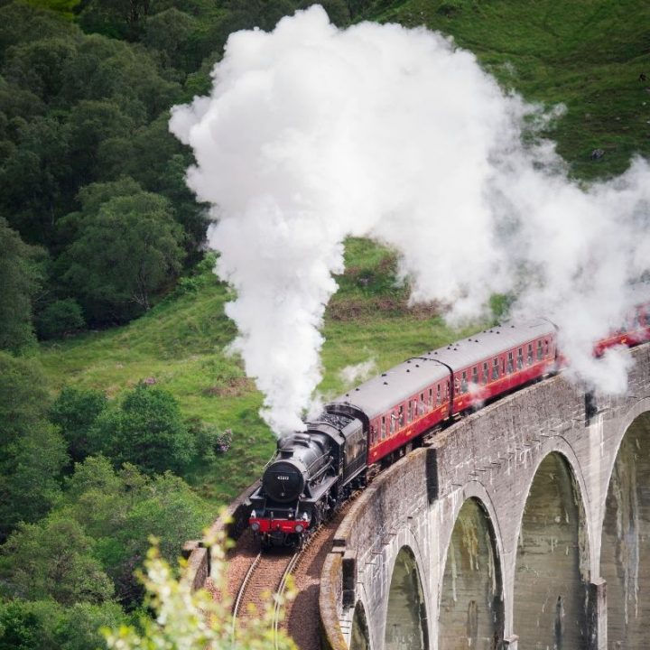 Hogwarts Train SQ