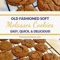 Old Fashioned Soft Molasses Cookies-cover image