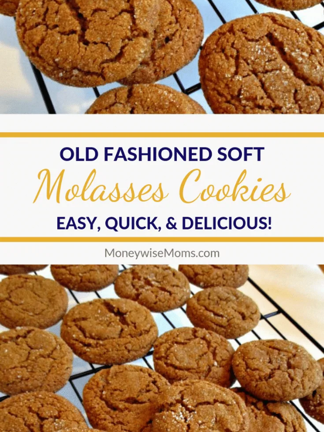 Old Fashioned Soft Molasses Cookies Story