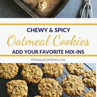 The Most Amazing Chewy and Spicy Oatmeal Raisin Cookies-cover image