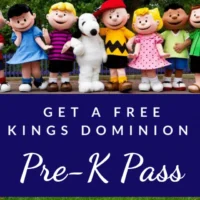 Free Pre-K Pass for Kings Dominion in Virginia-cover image