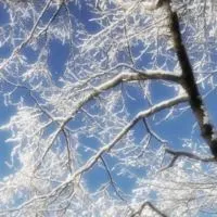 10 Winter Family Fun Nights to Cure Cabin Fever-Cover image