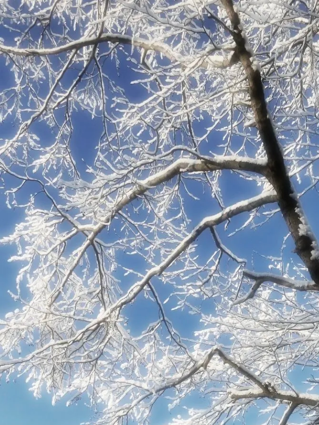 10 Winter Family Fun Nights to Cure Cabin Fever  Story