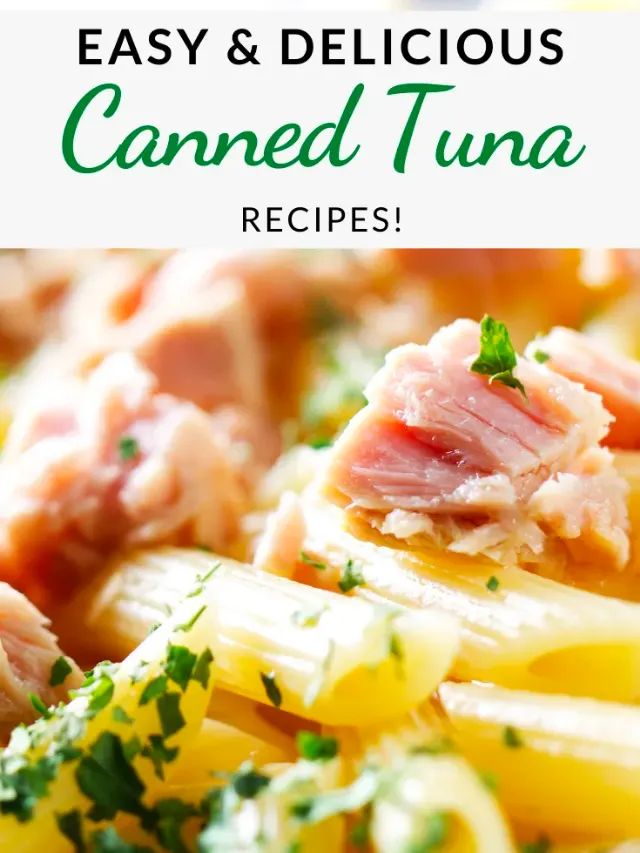 15 Easy Canned Tuna Recipes Story