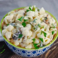 Creamy Bacon Parmesan Pasta Salad-Cover Image