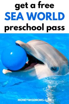 Sea World Preschool Pass 2024 - Moneywise Moms - Easy Family Recipes