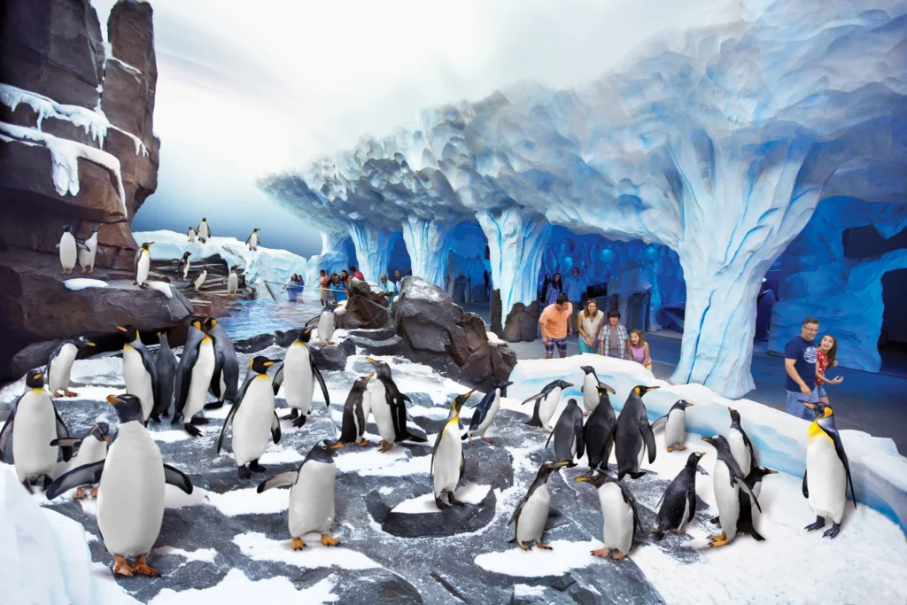 Penguin habitat at Sea World Orlando theme park