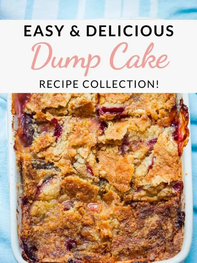 Easy Dump Cake Recipes Story