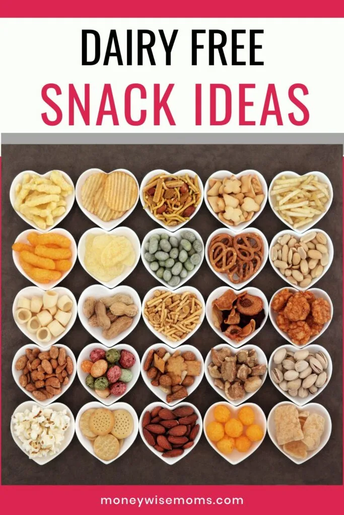 Lactose-Free Ice Cream School Snack Ideas