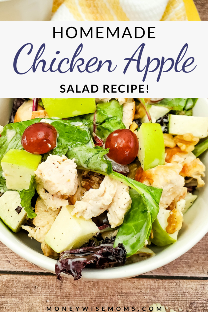 another pin showing title across the top and finished recipe for chicken apple salad in the background 
