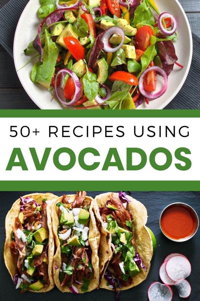 Recipes with avocados - salad and tacos with avocado
