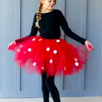DIY Tutu Costumes to Make at Home-Cover image