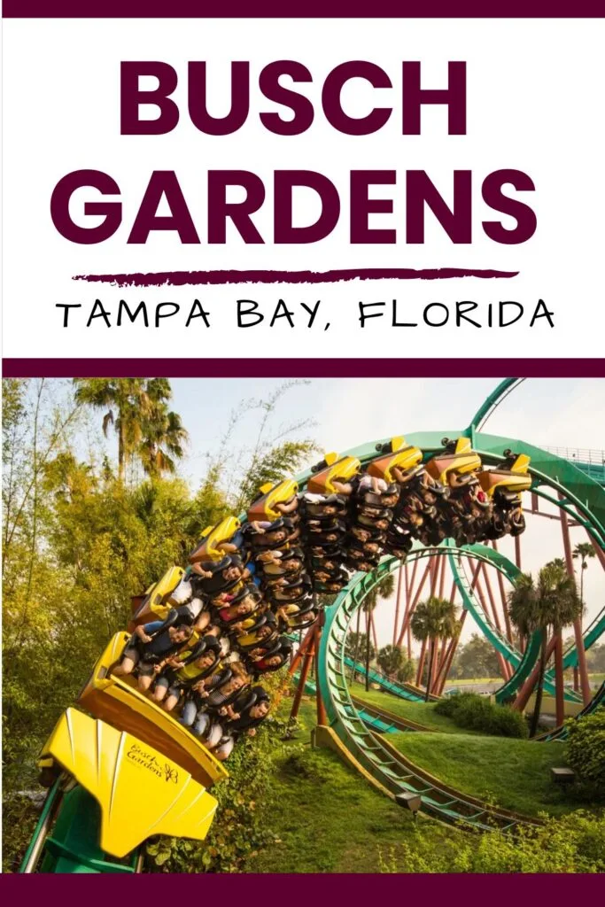 Busch Gardens Tampa Bay Admission Ticket 2023