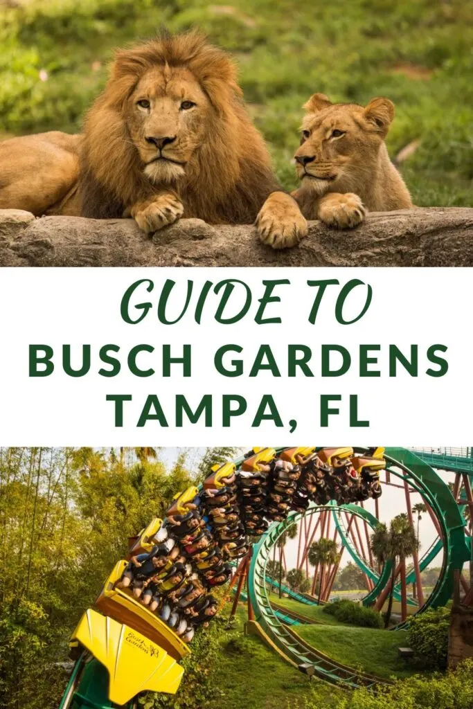 Guide to Busch Gardens Tampa FL
