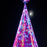 Busch Gardens Christmas Town 2022-Cover image