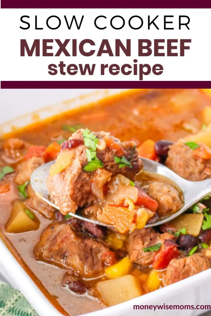 Slow Cooker Mexican Beef Stew