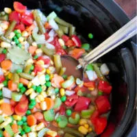 Crockpot Vegetable Soup-Cover image