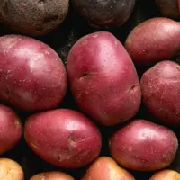 Different Ways to Cook Potatoes-Cover image