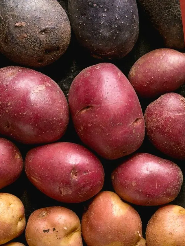 Different Ways to Cook Potatoes Story